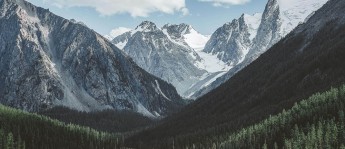 推特别被带走：把口径写清了吗写清再把单位补到图旁，推特due to a technical issue